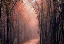 PG模拟器官网：德国杯：莱比锡小胜沃尔夫斯堡 晋级半决赛.