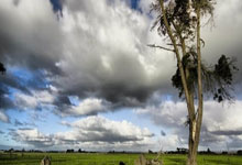 湖人媒体：詹姆斯本场赛后将不会接受媒体采访.