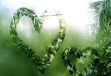 关于2025中国大众网球城市挑战赛报名的通知.